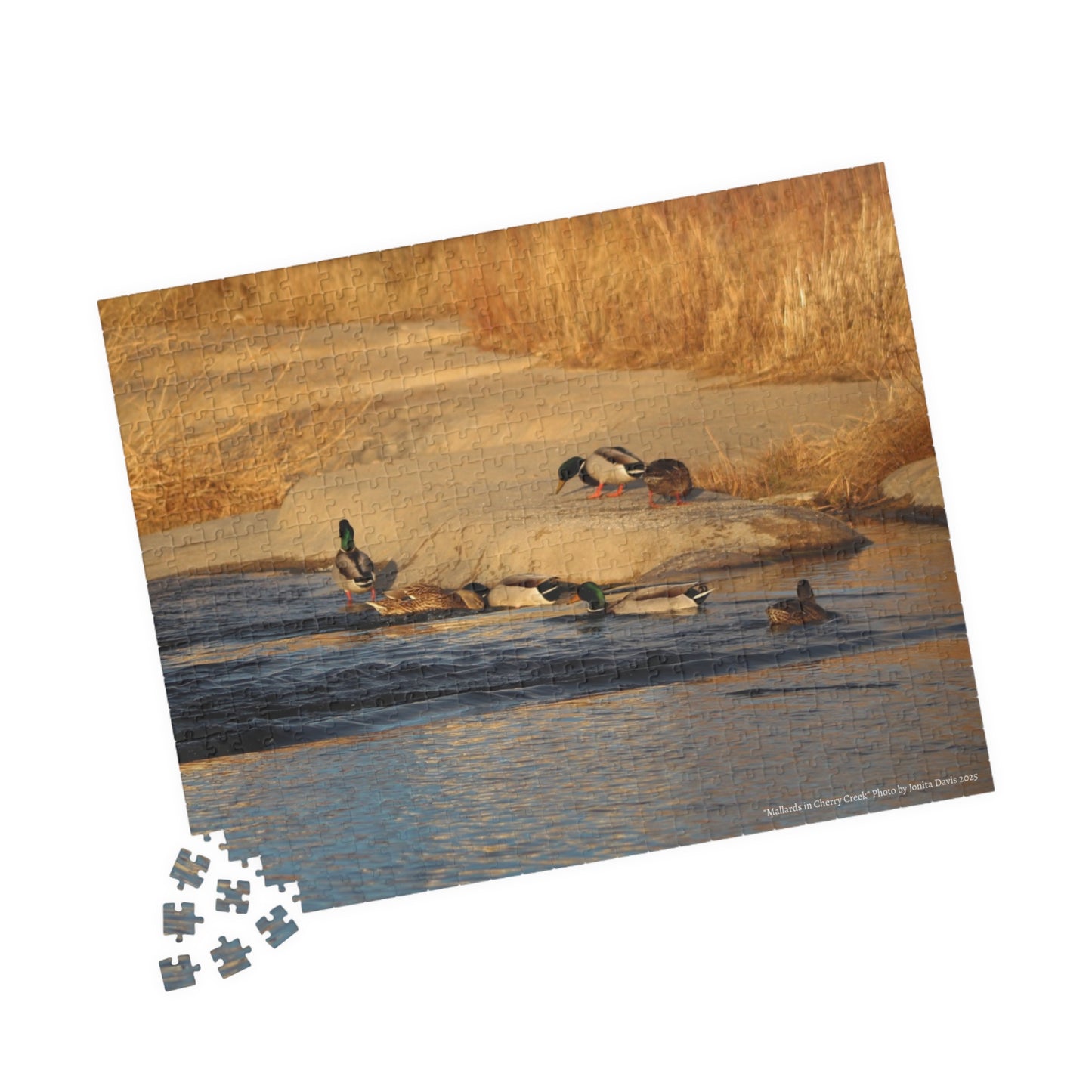 Mallards on Cherry Creek Sunset Jigsaw Puzzle — (110–1014 pcs)