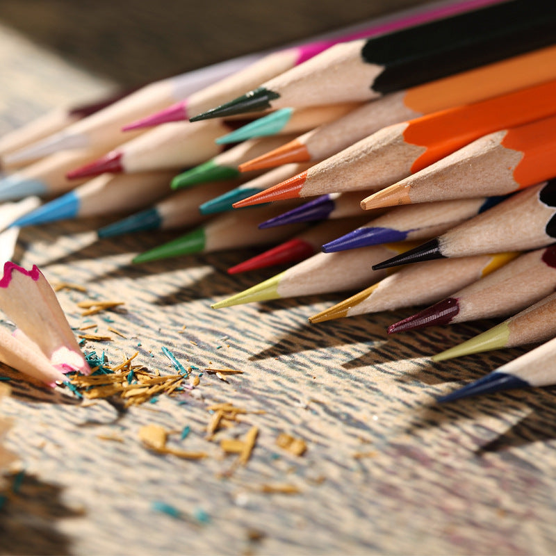 Student Prize Stationery Wholesale 36/48/72 Color Pencil Environmental Protection Oily Color Lead Painting Brush