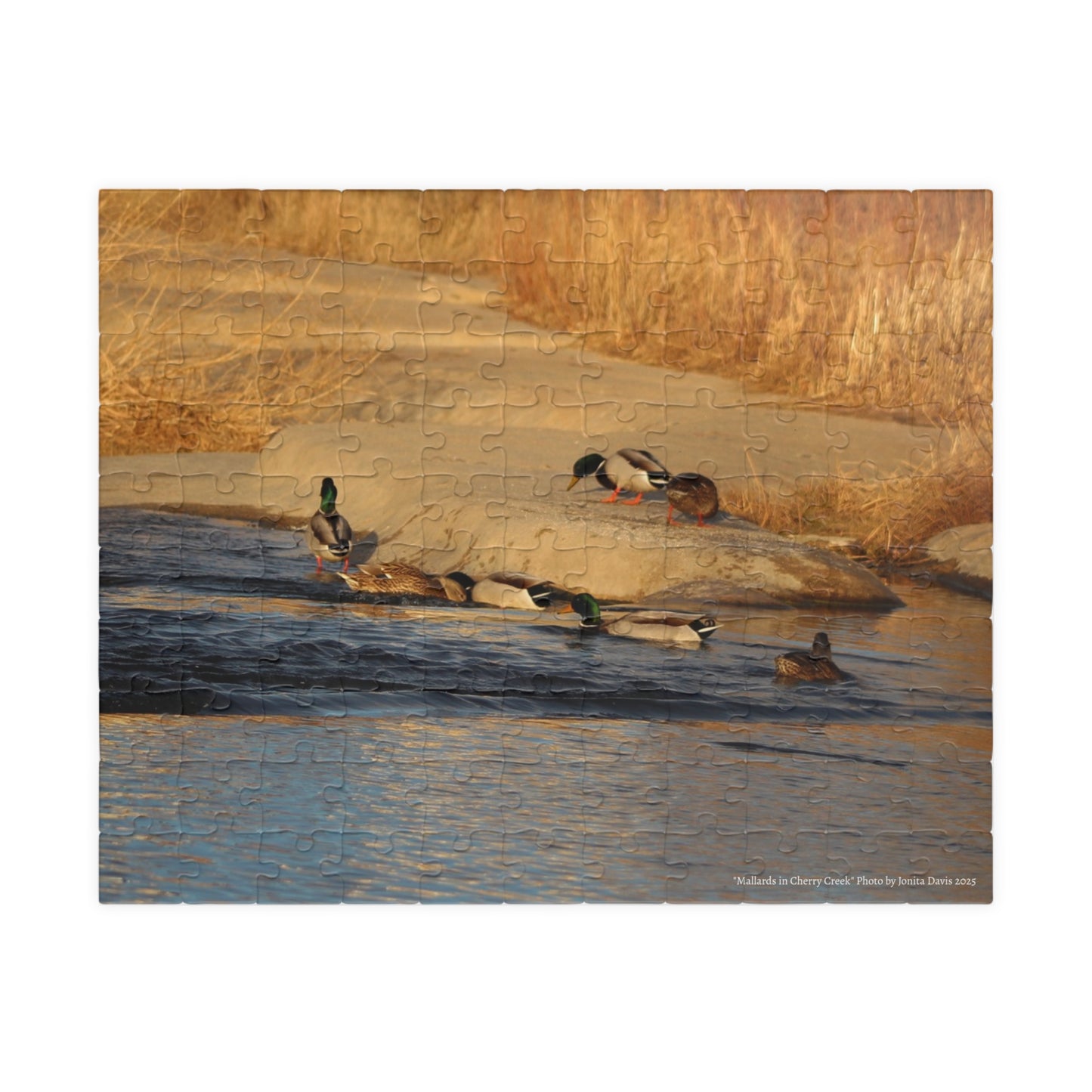 Mallards on Cherry Creek Sunset Jigsaw Puzzle — (110–1014 pcs)