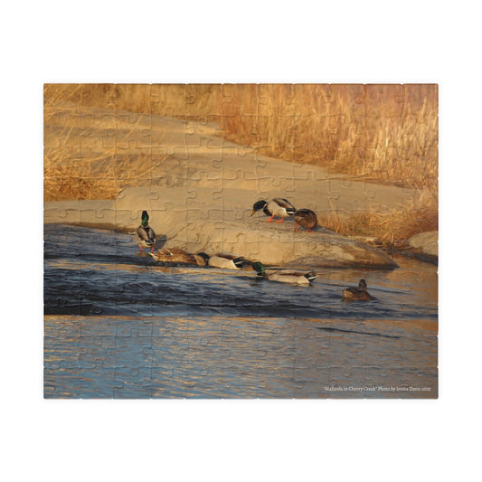 Mallards on Cherry Creek Sunset Jigsaw Puzzle — (110–1014 pcs)