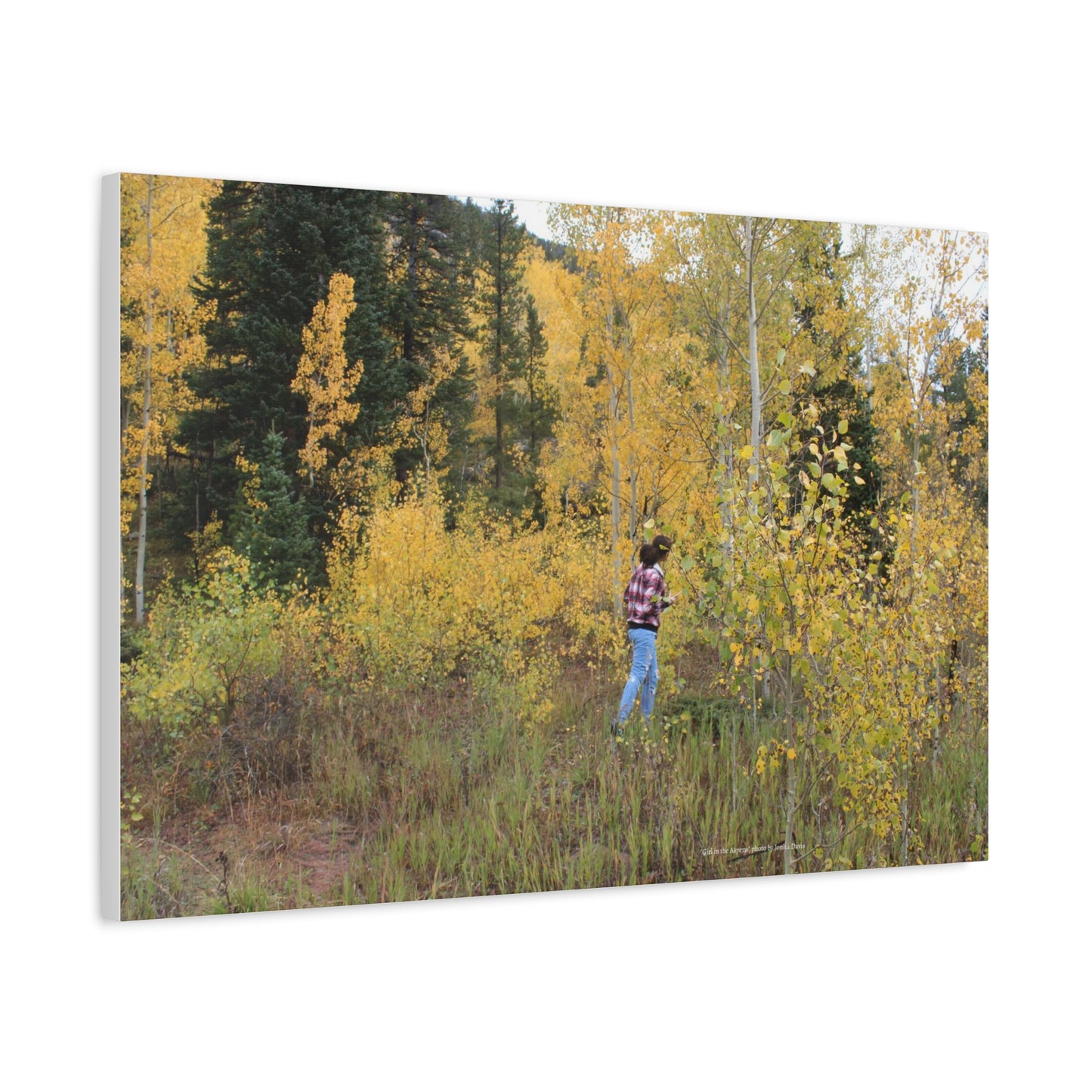 Girl in the Aspens--Matte Canvas Wall Art